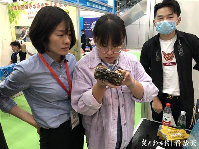 从塘头到灶头 荆楚水产品直采模式如何重塑产业链