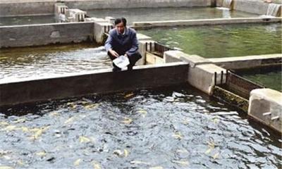 水产养殖降低饲料成本的几个有效方法